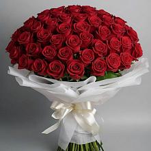 Букет 101 Красная роза Блэк Мэджик в Вешки