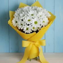 Букет цветов из:  Хризантемы в Вешки