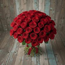 Букет 55 Красных роз Фридом #REPLACE_PRED# Вешки