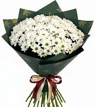 Букет цветов из:  Хризантемы #REPLACE_PRED# Вешки