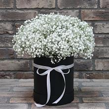 Цветочная композиция из Гипсофила в шляпной коробке #REPLACE_PRED# Вешки