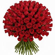 Букет Красные розы Чери Лав в Вешки