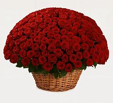 Премиум букет из: Розы #REPLACE_PRED# Вешки