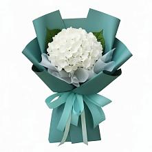 Букет цветов из:  Гортензия в Вешки